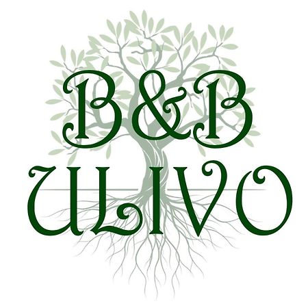 Ulivo Bed & Breakfast Trapani Exterior photo